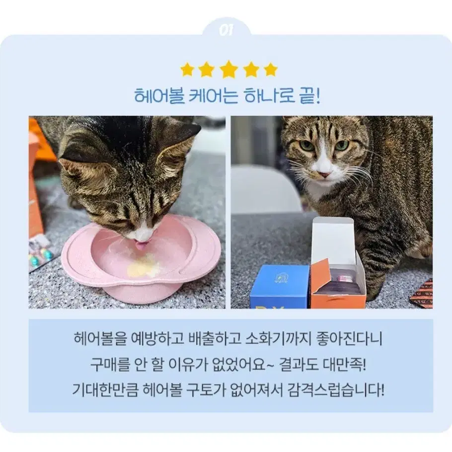 고양이 헤어볼 관리 영양제