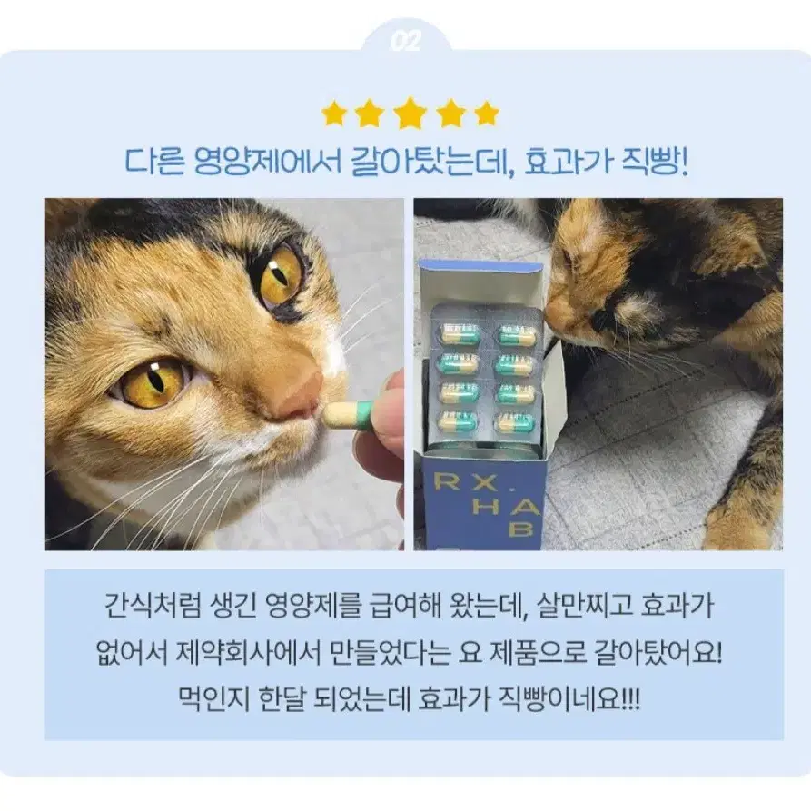 고양이 헤어볼 관리 영양제