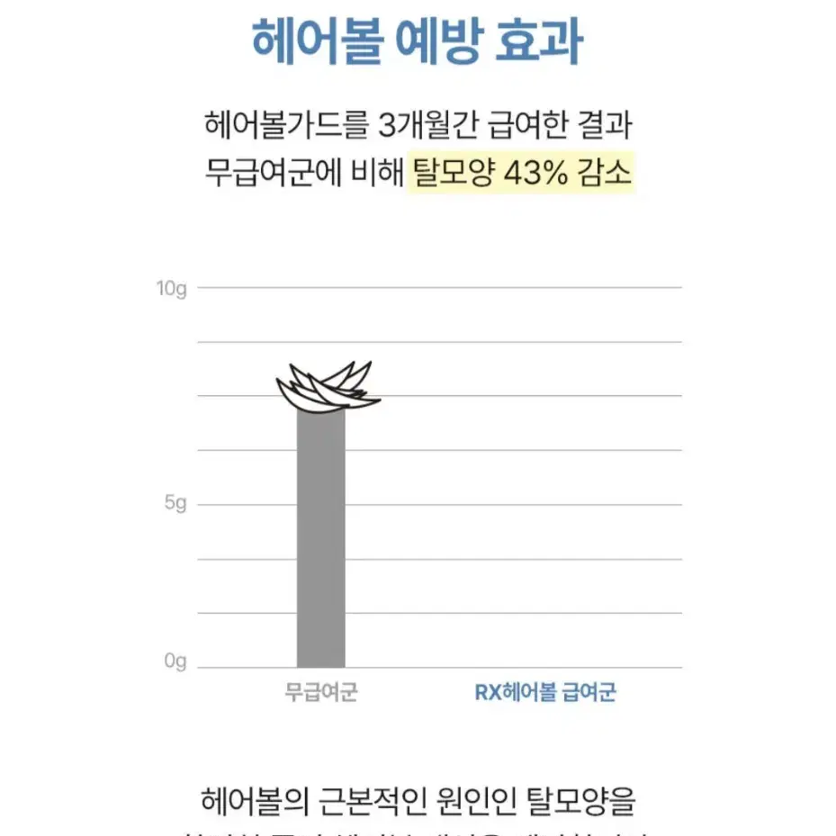 고양이 헤어볼 관리 영양제