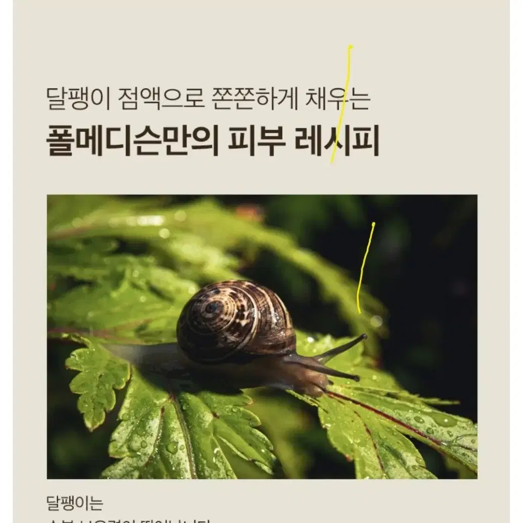 [새상품] 폴메디슨 올인원 달팽이크림 영양 탄력 주름 시카 크림