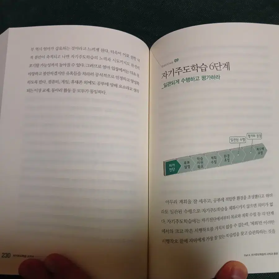 사교육없이 대학보내는 자기주도학습교과서" 명품 교육 서적