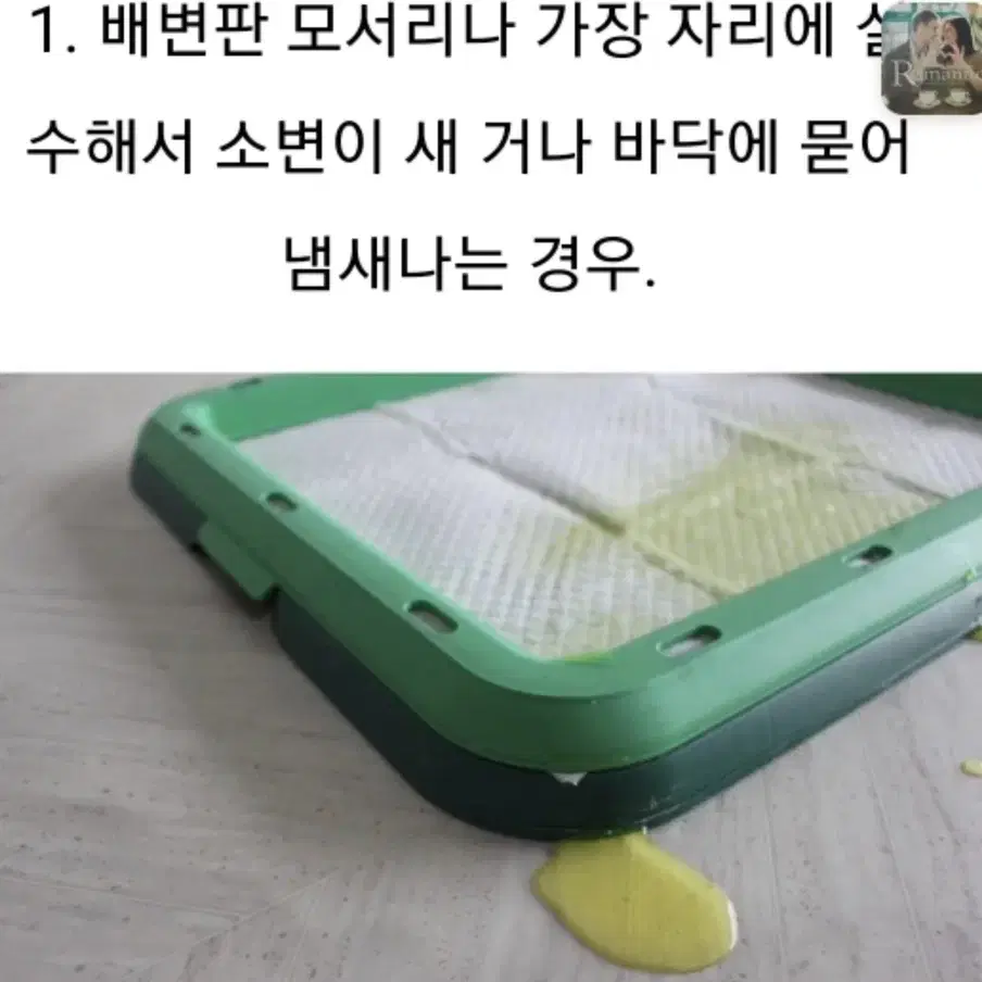 애견 논슬립 방수패드