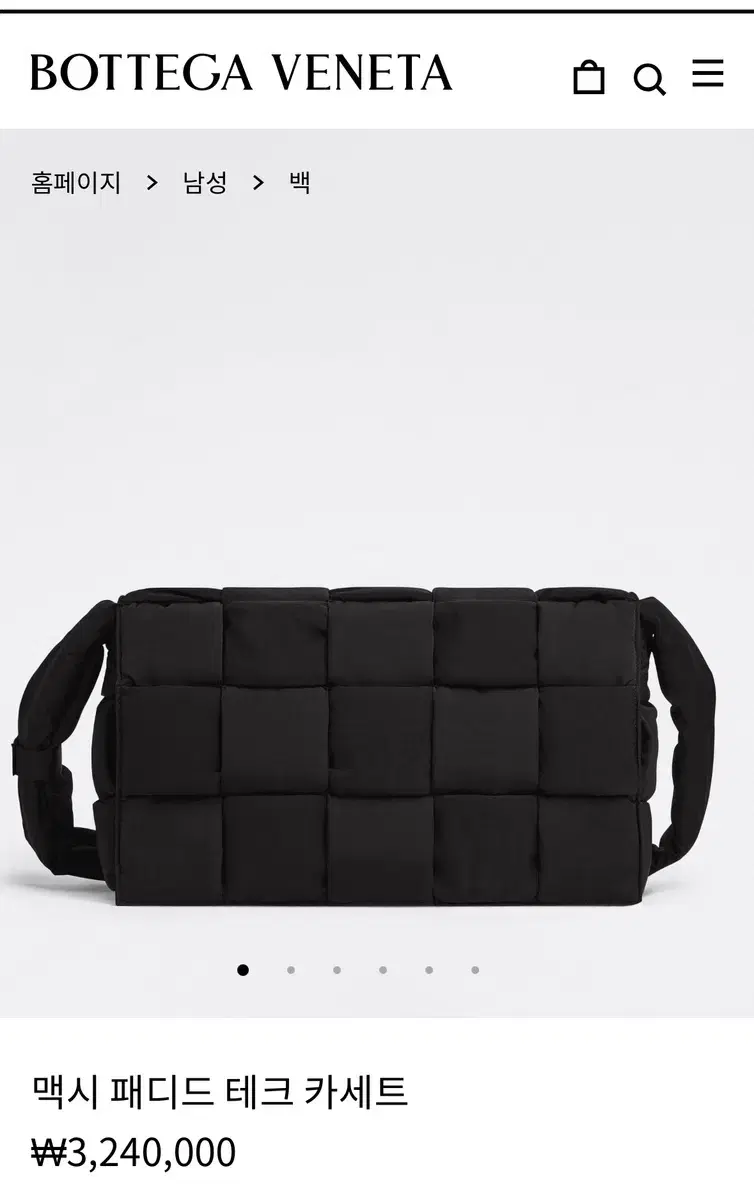 Bottega Veneta Padded Bag