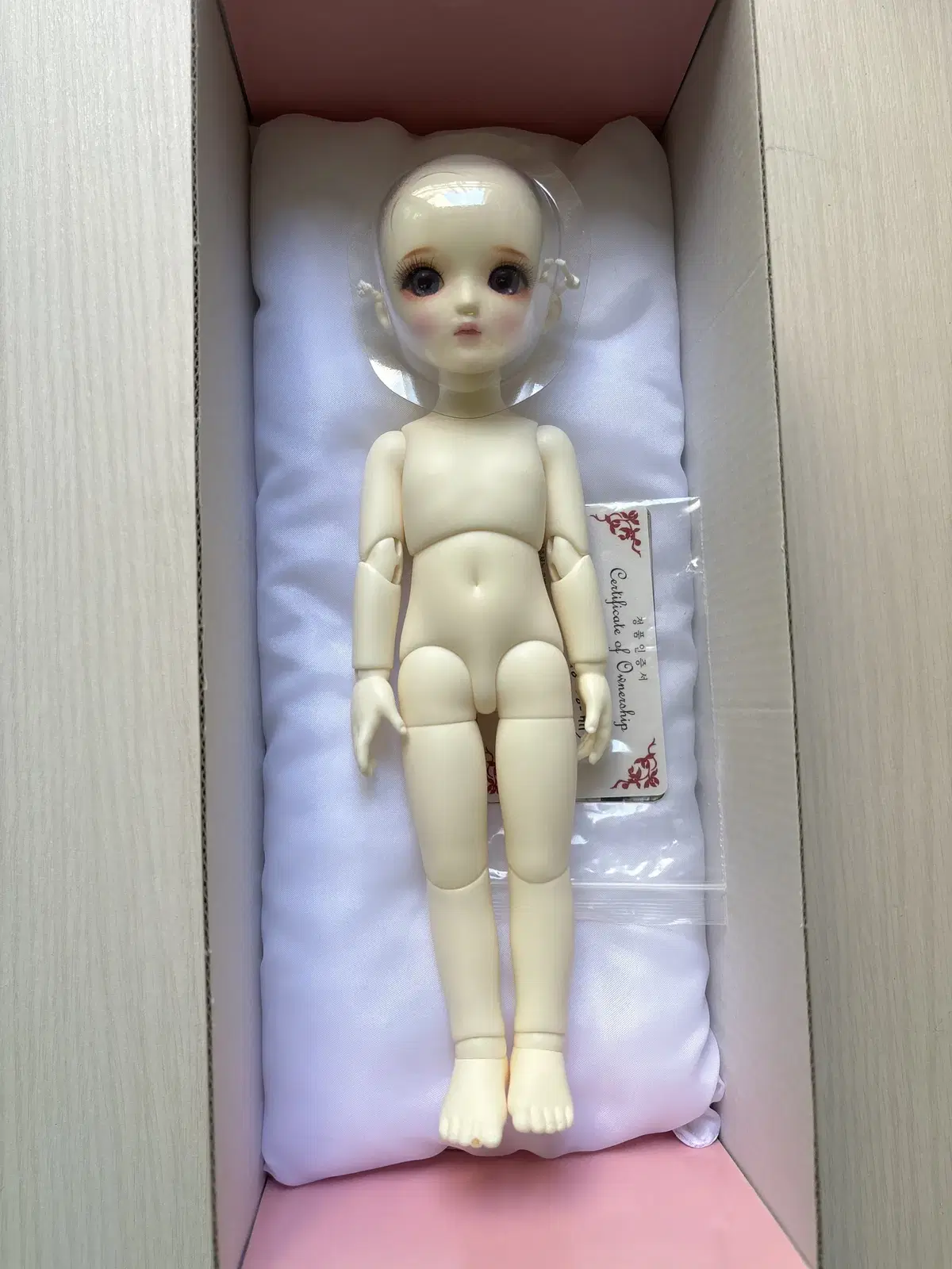 구체관절 doll 루츠 허니델프 뮤리엘 Quick sale합니다