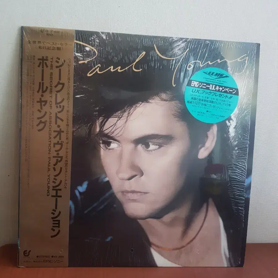 폴영 Paul Young 일본엘피 바이닐vinyl 팝록엘피 poplp