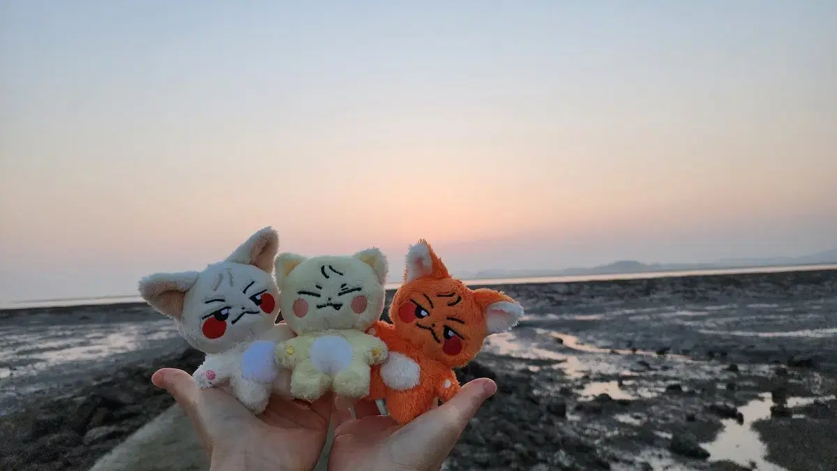 btob doll 광냥이 크림뎨 여우뎨 seo eunkwang yook sungjae