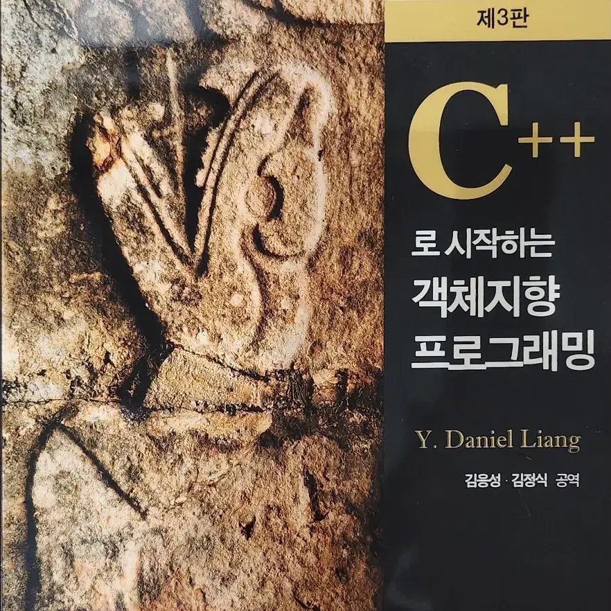 C++로 시작하는 객체지향 프로그래밍