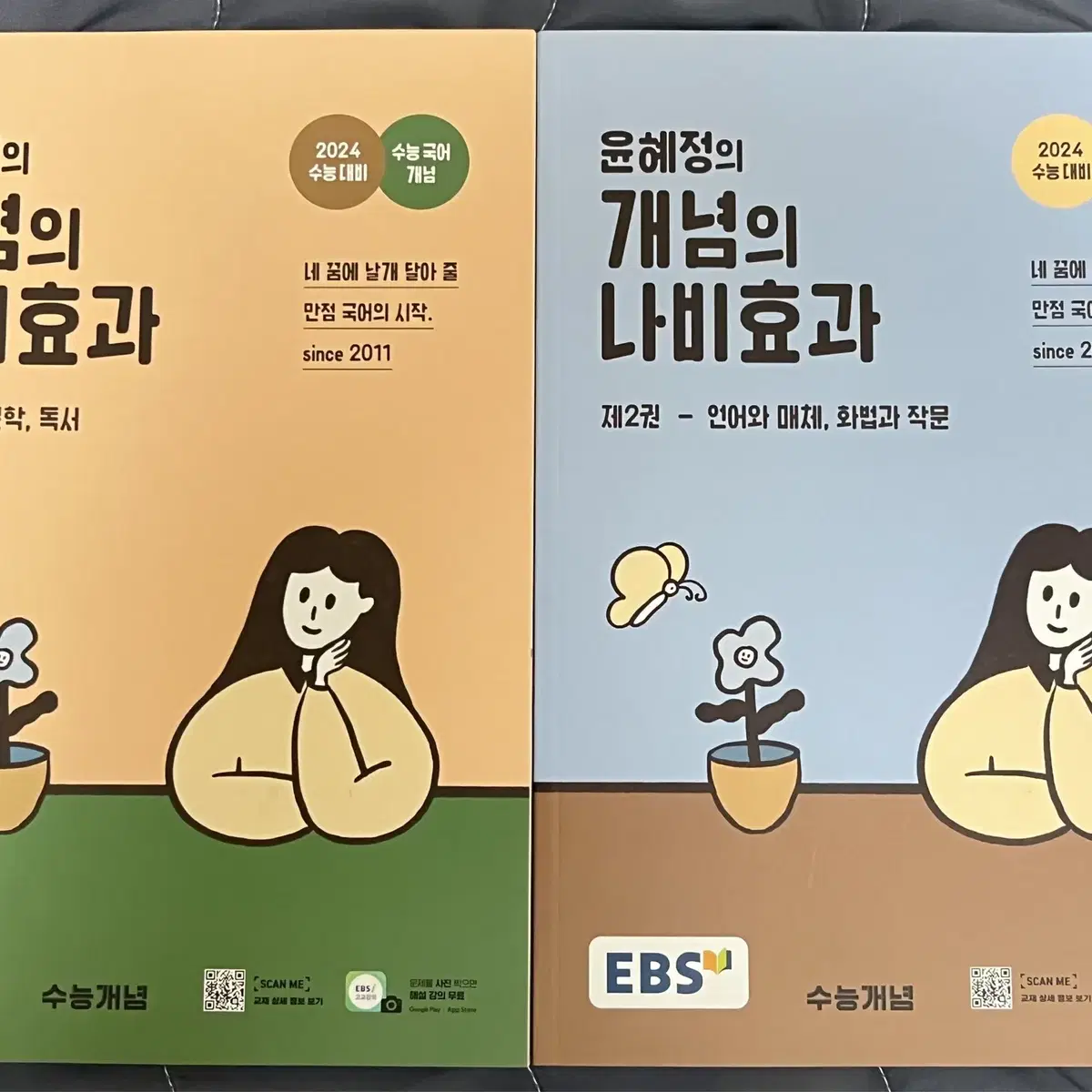 ebs 2024 윤혜정의 개념의 나비효과 국어 문학 독서 언매 화작