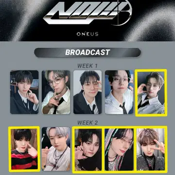 원어스 나우 공방 이도 포카, 로투킹 월하미인 시온 포카 | 브랜드