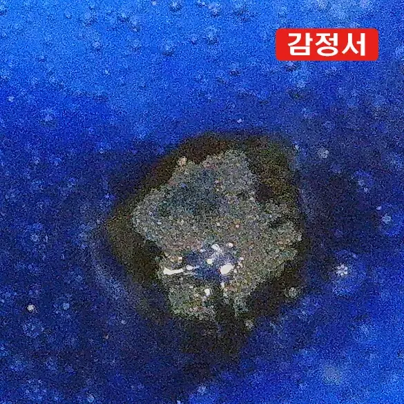 청건륭/청화백자운용문양이편병 [감정서 / 중국도자기]