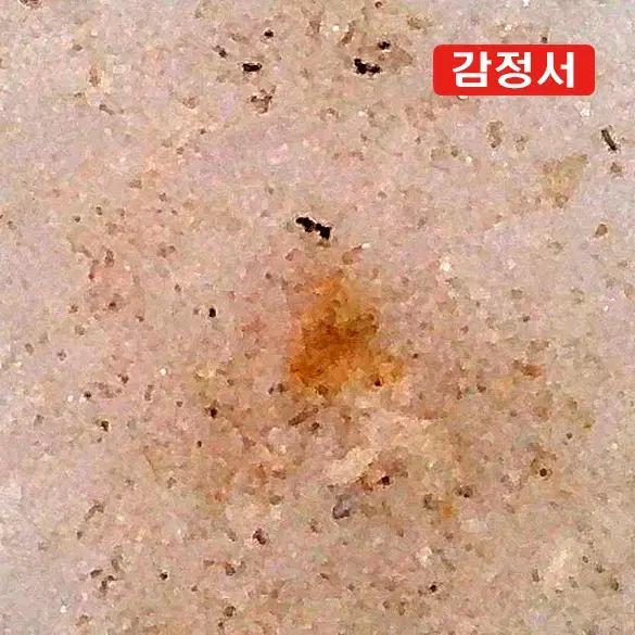 청건륭/청화백자운용문양이편병 [감정서 / 중국도자기]