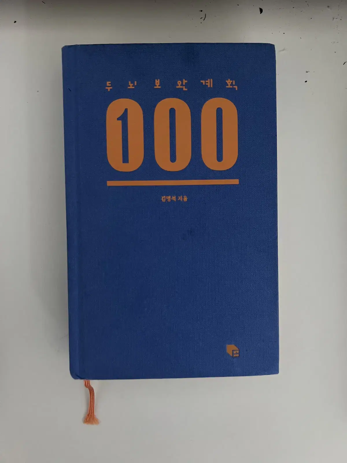 두뇌보완계획 100