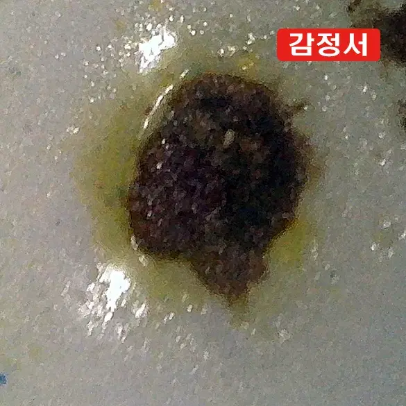 청건륭/연지홍알도개광법랑채화조문양이사방준 [감정서 / 중국도자기]