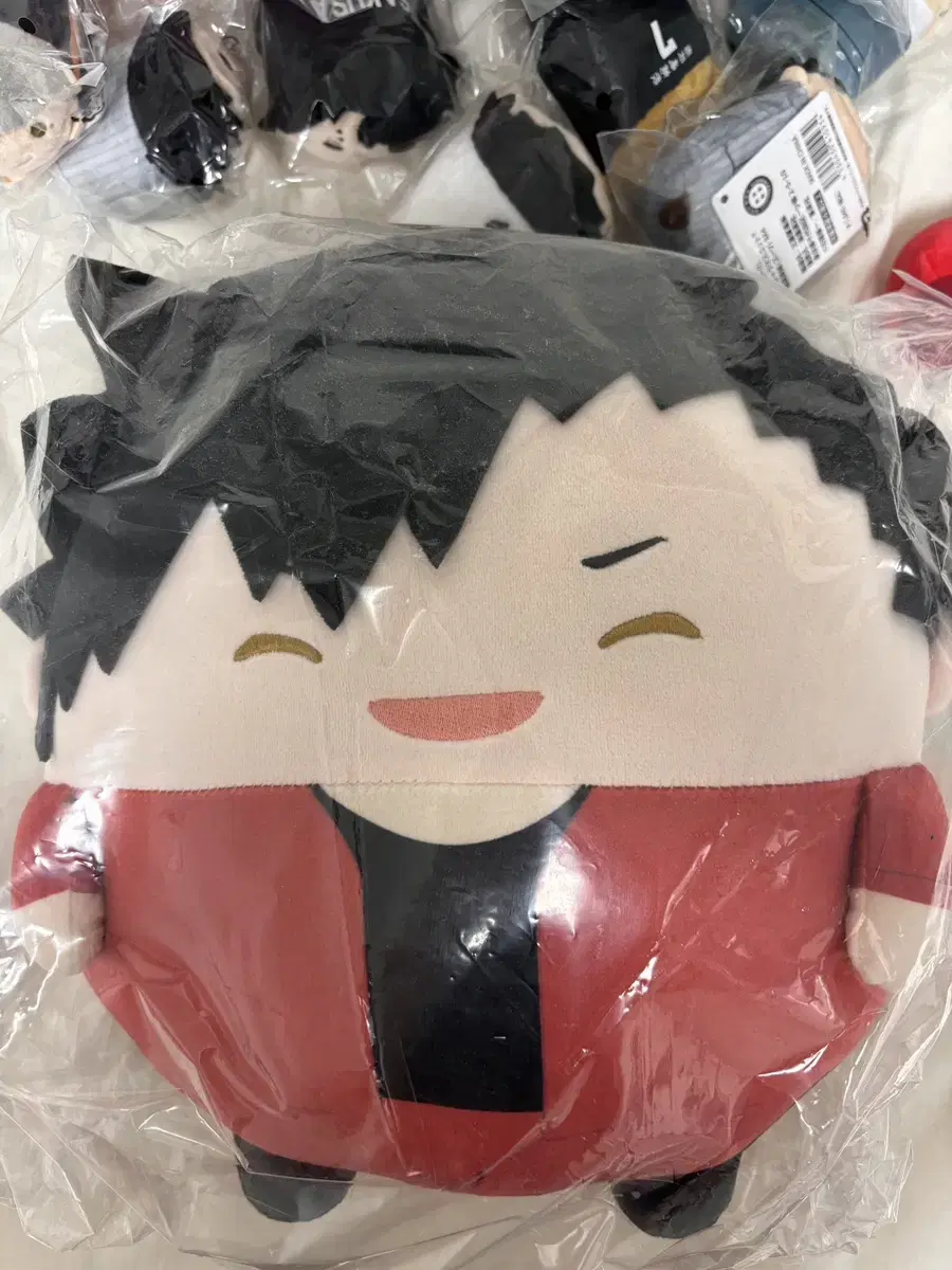 Haikyuu Kuroo Big Fuwakurorin