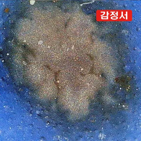 원/청화백자각화해수용문천구병 [감정서 / 중국도자기]