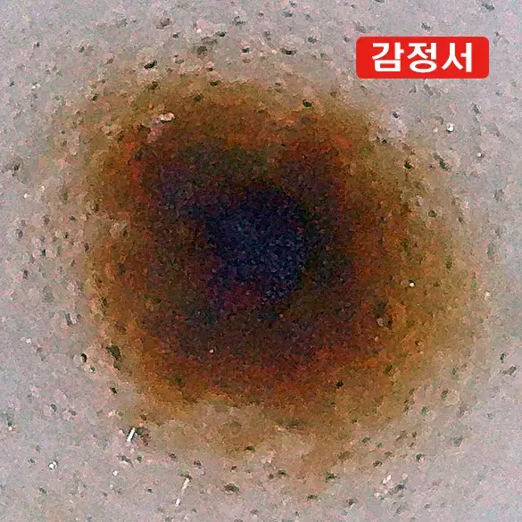 원/청화백자각화해수용문천구병 [감정서 / 중국도자기]