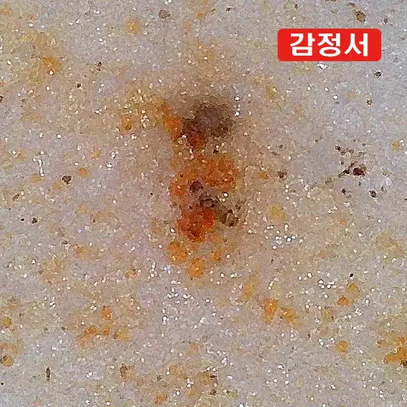 원/청화백자각화해수용문천구병 [감정서 / 중국도자기]