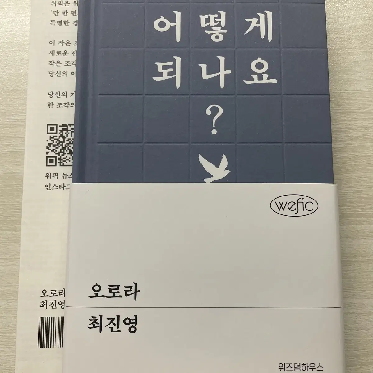 오로라 최진영 소설