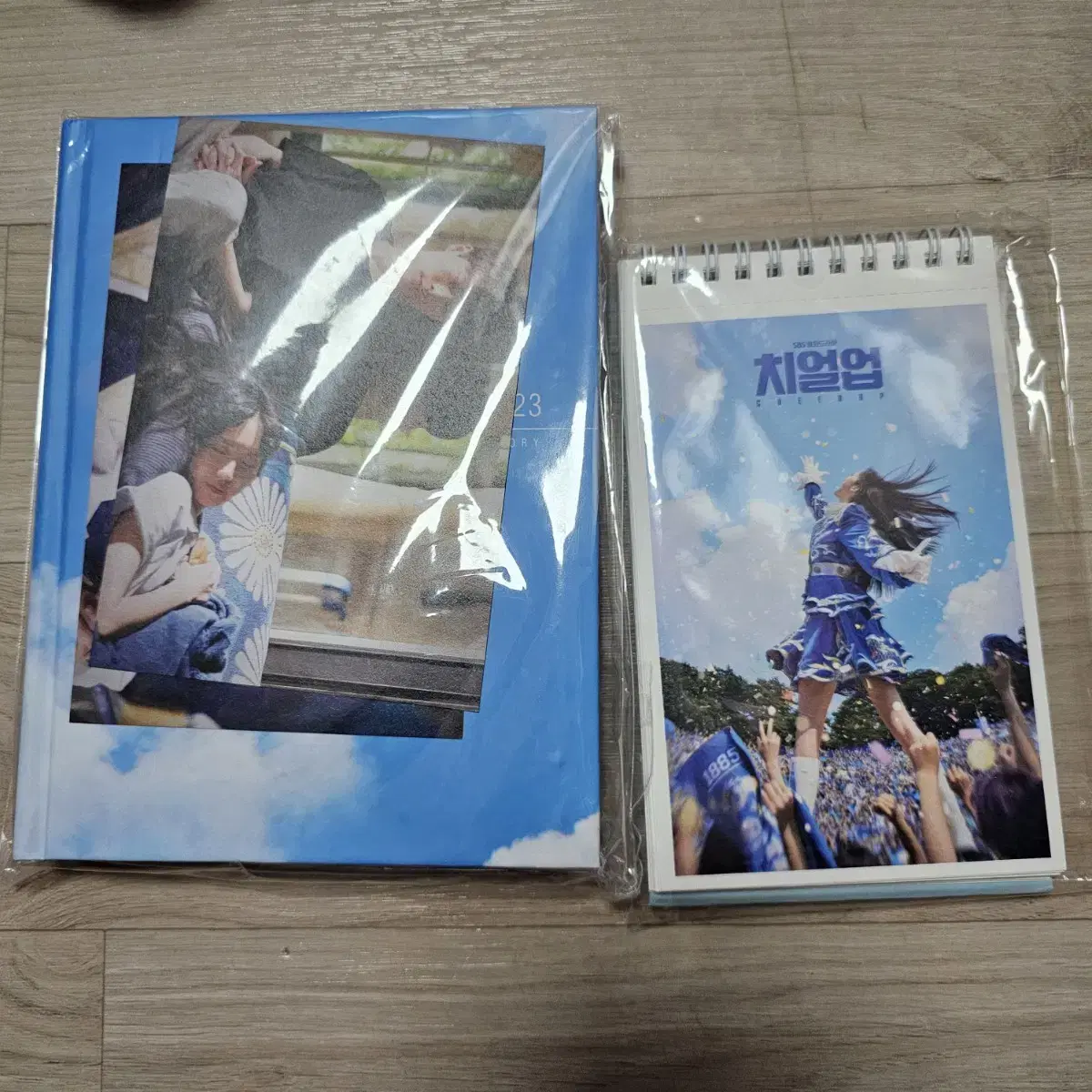 Cheer Up Diaries , Calendar Merchandise