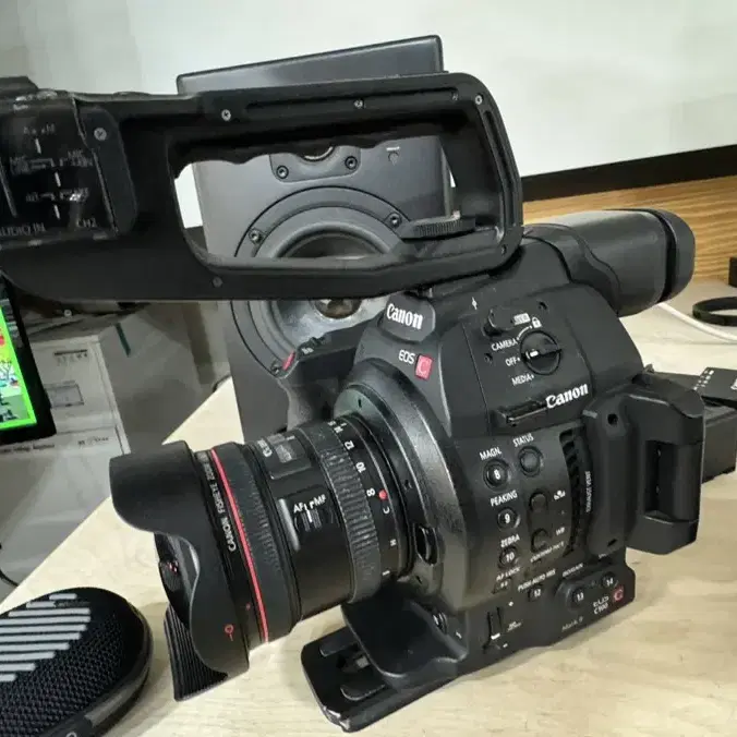 C100 mark2