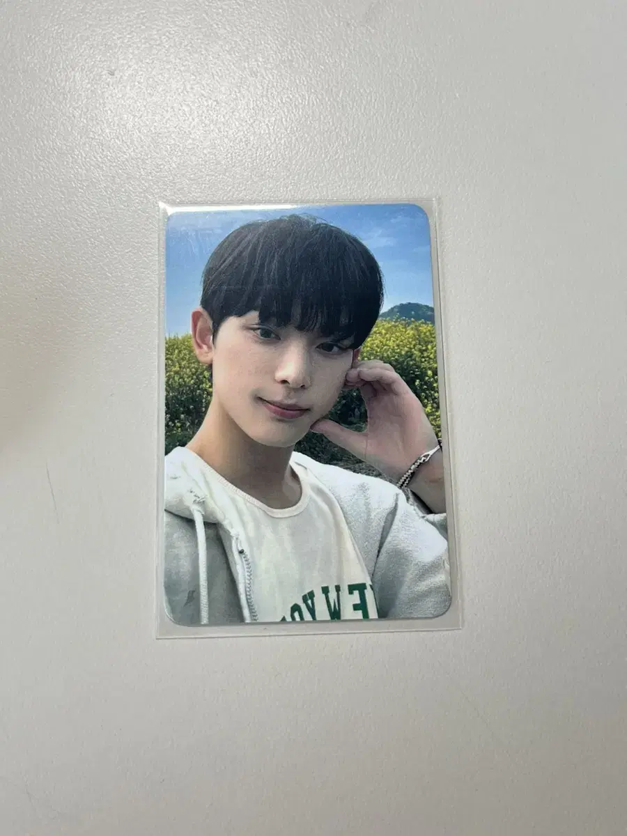 &team harua fanmeeting photocard We sell photo kards!