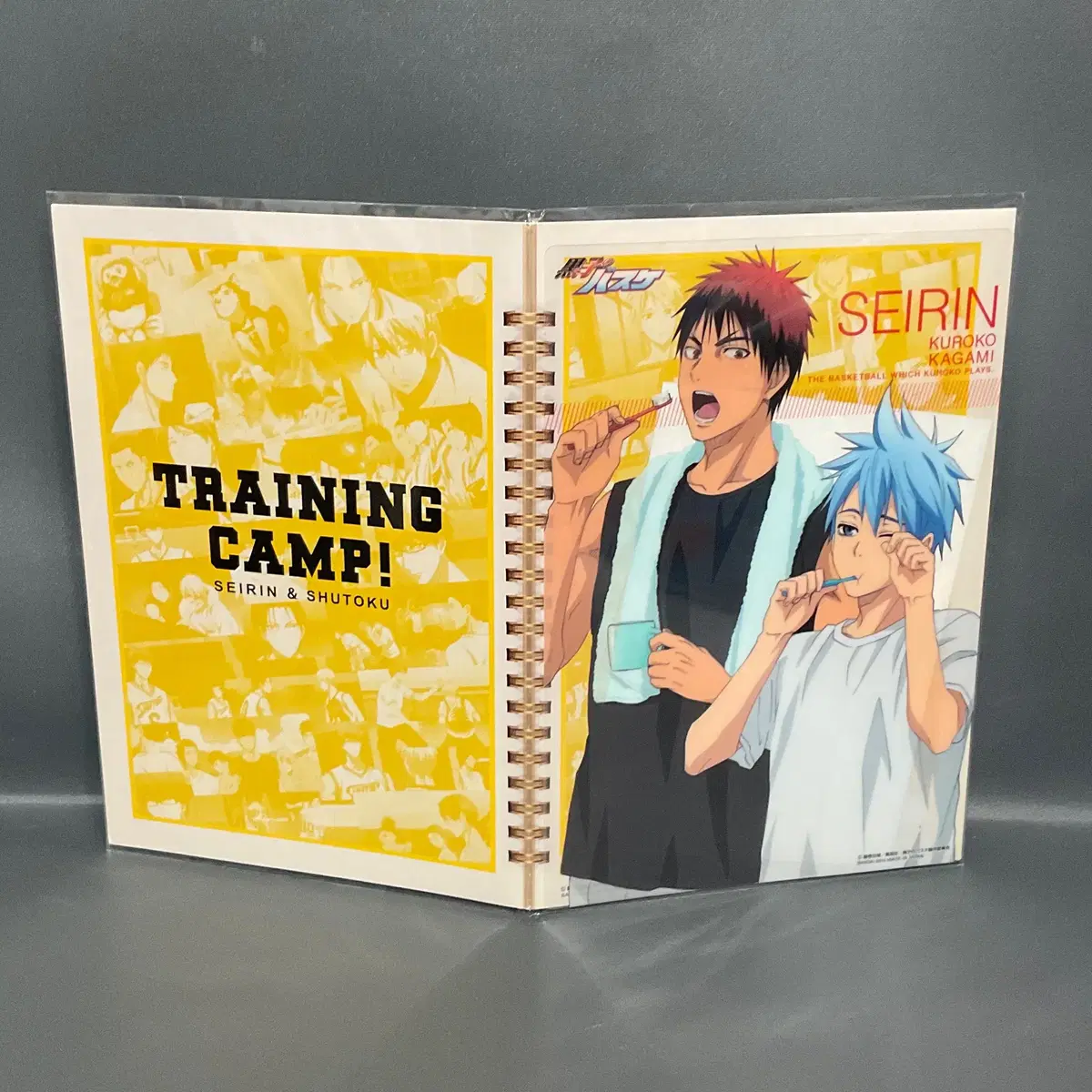 Unused Kuroko'sNBA Training Camp Clear Plate Kuroko Kagami