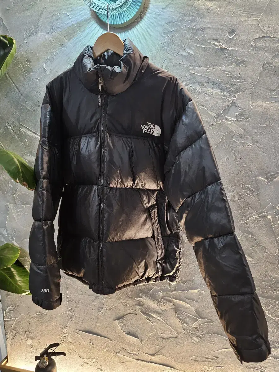 The North Face 700 Napsie Padded Overseas Version 110size fei