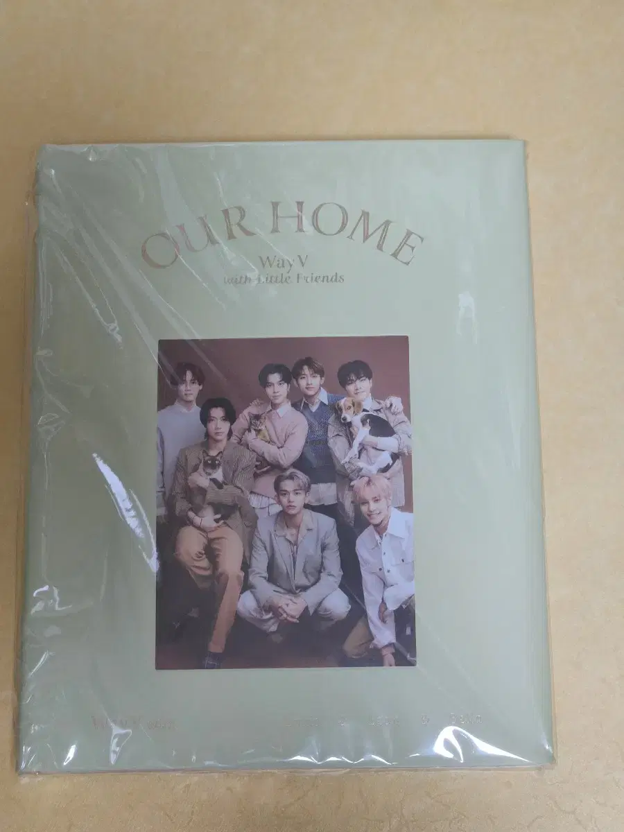 wayv way v our home 아워홈 photobook wts