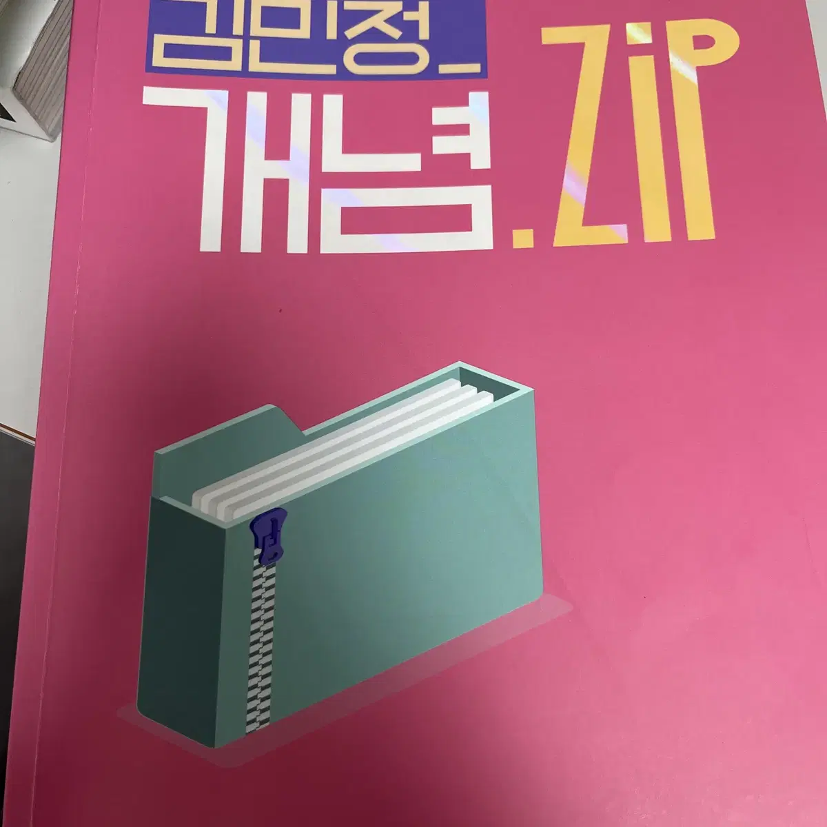 김민정 개념zip