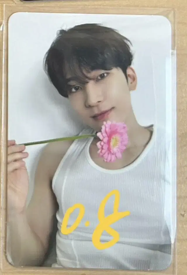 세븐틴 원우 best album Dear버전 포카