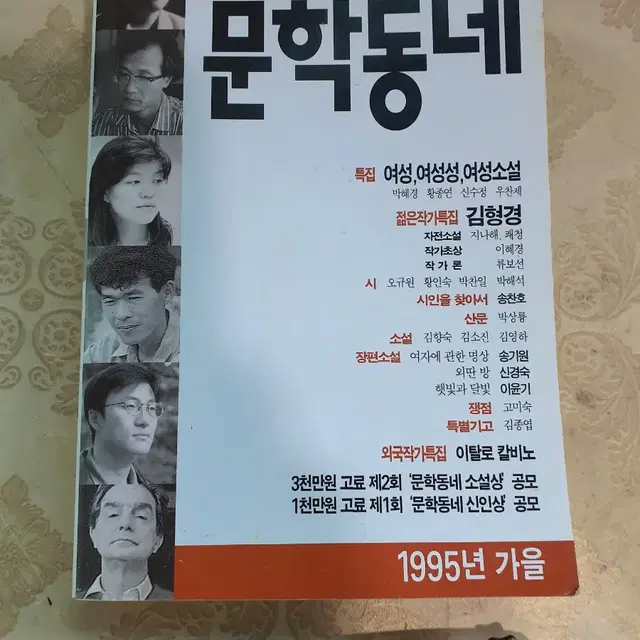 문학동네 1995년 가을호