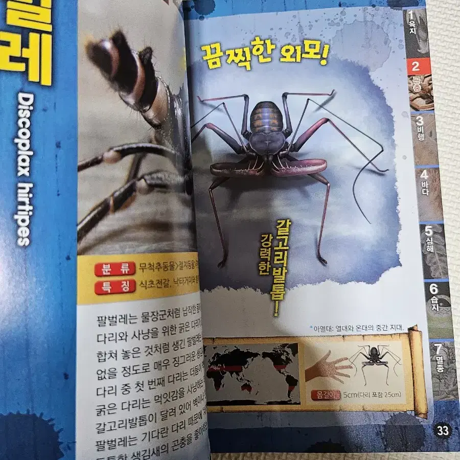 괴기생물 대백과