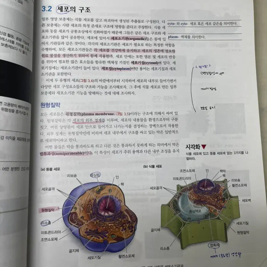 생활속의 생명과학