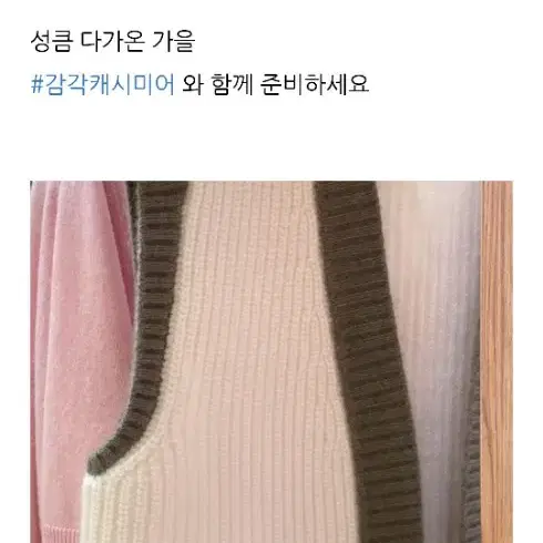 떼르 데 캐시미어