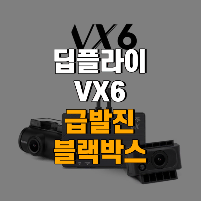 딥플라이 VX6 급발진 적외선 FHD 2채널 블랙박스 32G [로빅코리아