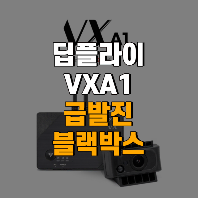 딥플라이 VXA1 급발진 적외선 FHD 2채널 블랙박스 32G [로빅코리