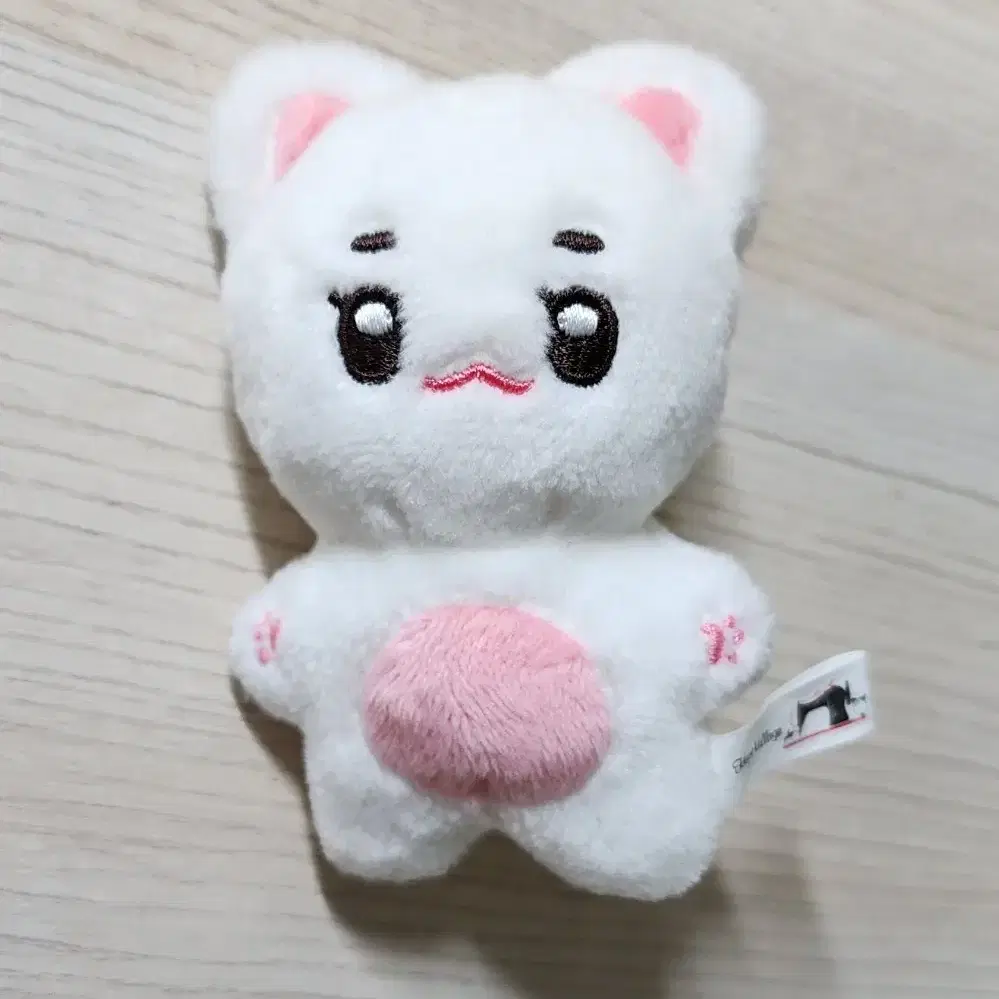 치타리 이곰도 잼냥이 양도