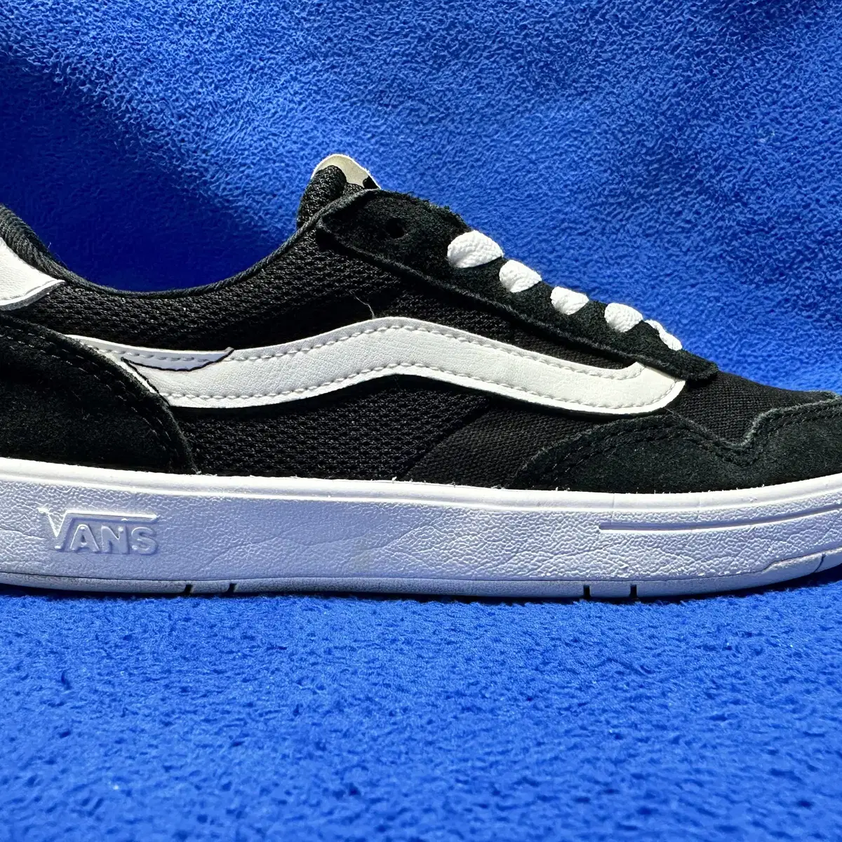 [230mm] 반스 크루즈 투 씨씨 Vans