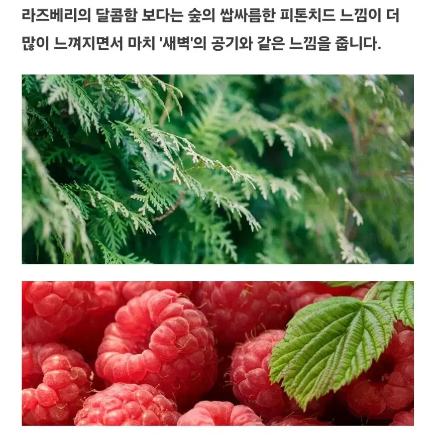 텀블벅 마녀약국 밀키웨이 향수