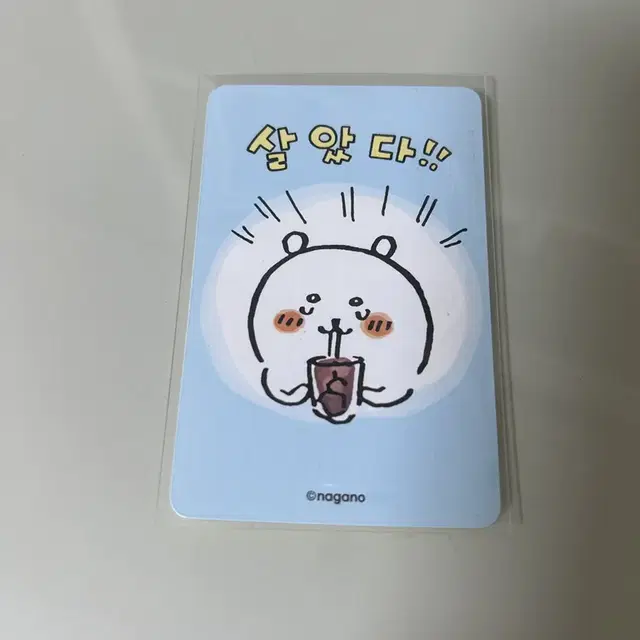 농담곰 렌티큘러