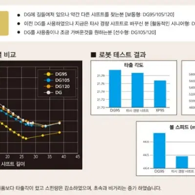 트루템퍼 다이나믹골드 95 스틸 아아언 샤프트