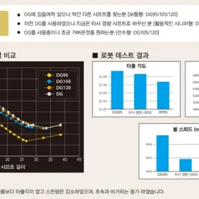 트루템퍼 다이나믹골드 120 스틸 아아언 샤프트