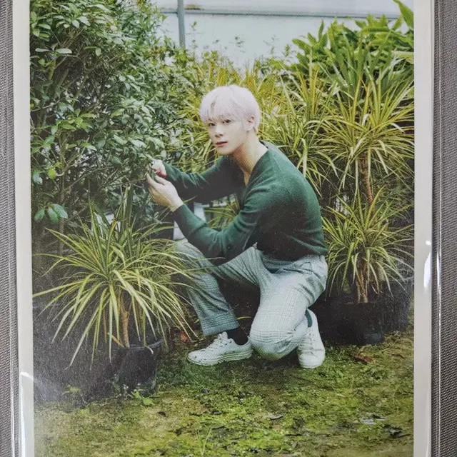 아스트로 astro 정규1집 올라잇 전화해 문빈 드볼 collection