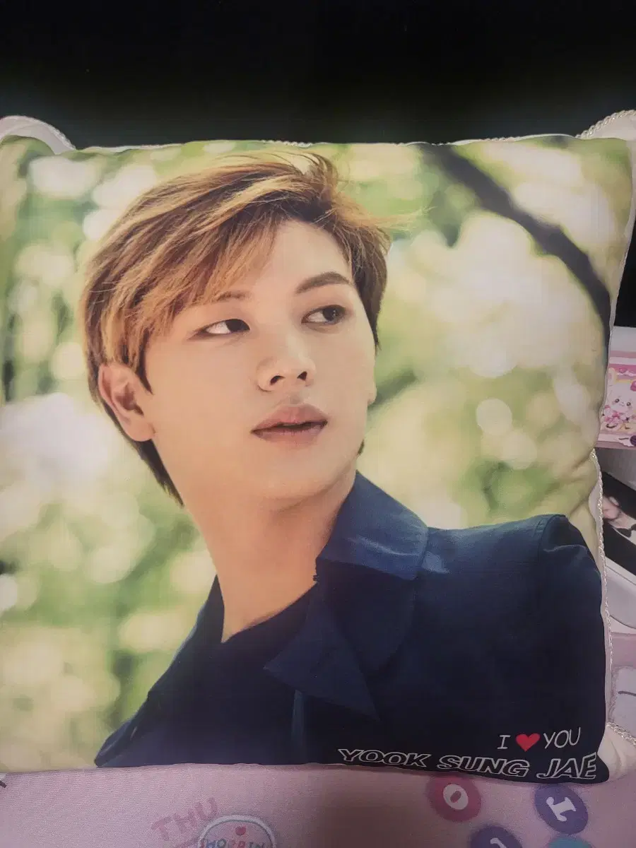 BTOB yook sungjae sells unofficial cushions