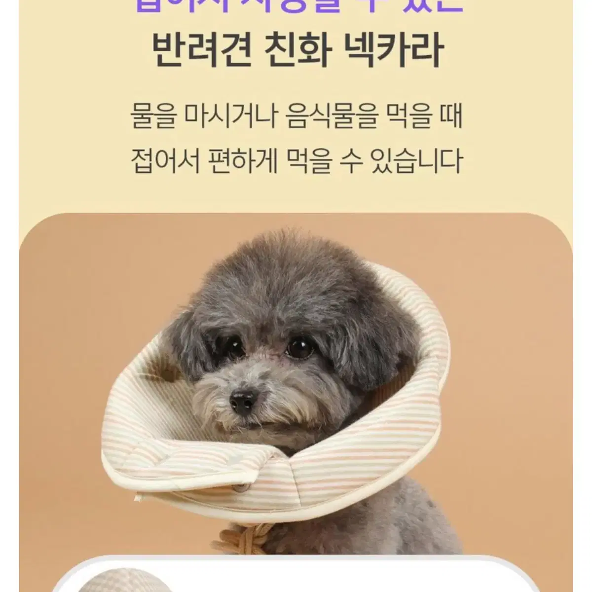 반려동물 넥카라