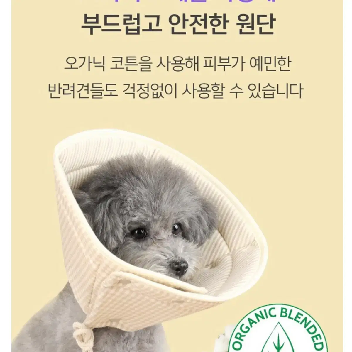 반려동물 넥카라