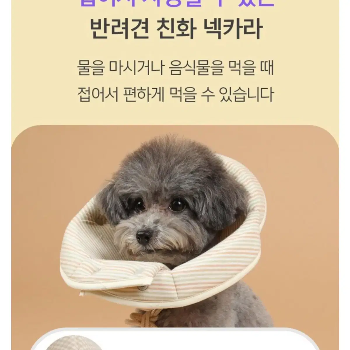 반려동물 넥카라