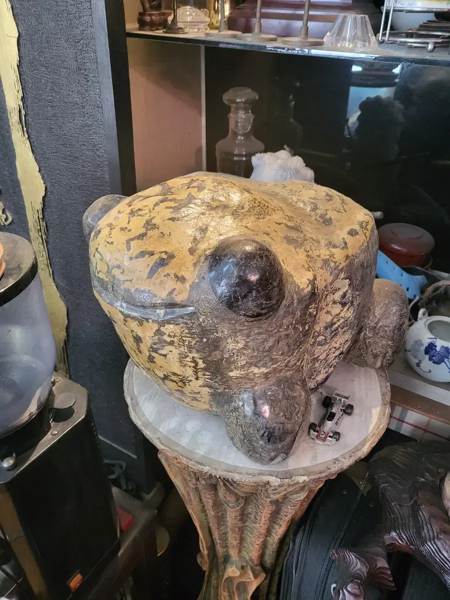 large-sized toadstool stromavite