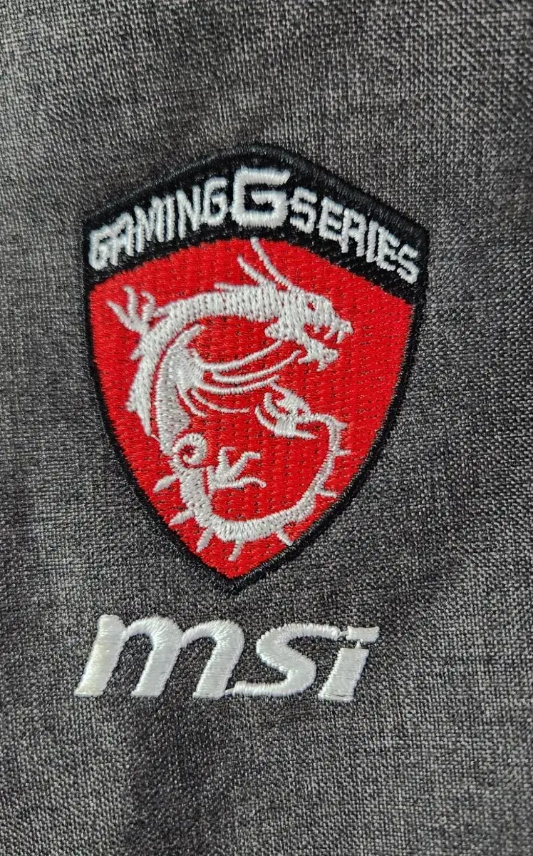 "GAMING GSERIES MSI"33cm노트북멀티백팩(직장인 비지니스