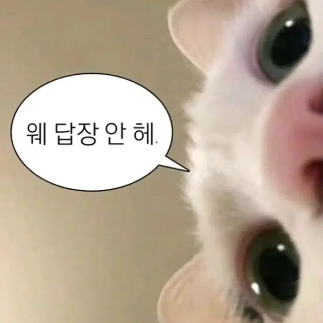 교환해요!채팅주시면포카보여드려여